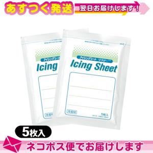 冷却材 大石膏盛堂 アイシングシートS(14x10cm) 5枚入り