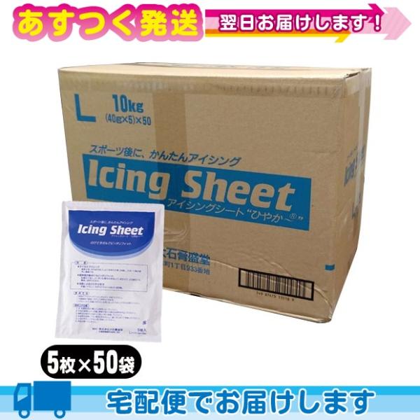 冷却材 大石膏盛堂 アイシングシートL(14x20cm) 5枚入り x50袋(合計250枚) 1ケー...