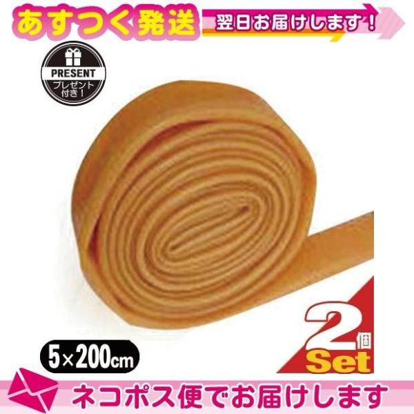 正規代理店 アシスト(ASSIST) 万能ゴムチューブ ブラウン(5x200cm) x 2個+キネフ...