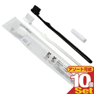 業務用使い捨て歯ブラシ 日本製 3gチューブ付 個包装1000本セット 歯ブラシ 3g チューブ 付き ×100本 日本製 使い捨て チューブ付き