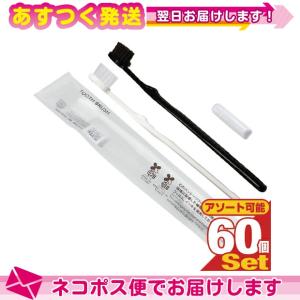 ホテルアメニティ 使い捨て歯ブラシ 個包装 業務用 日本製 使い捨てハブラシセット チューブ歯磨き粉(3g)付き x60本セット(2色から選択) :ネコポス送料無料｜ippo0709
