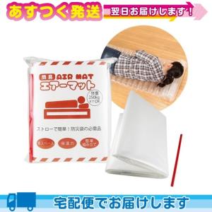 防災関連商品 空気吹き込み用ストロー付 簡易エアーマット (まくら機能付) 当日出荷の商品画像