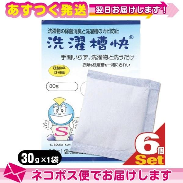 洗濯槽快 30g x6個 洗濯用洗浄補助用品 TAKENET テイクネット ：ネコポス送料無料