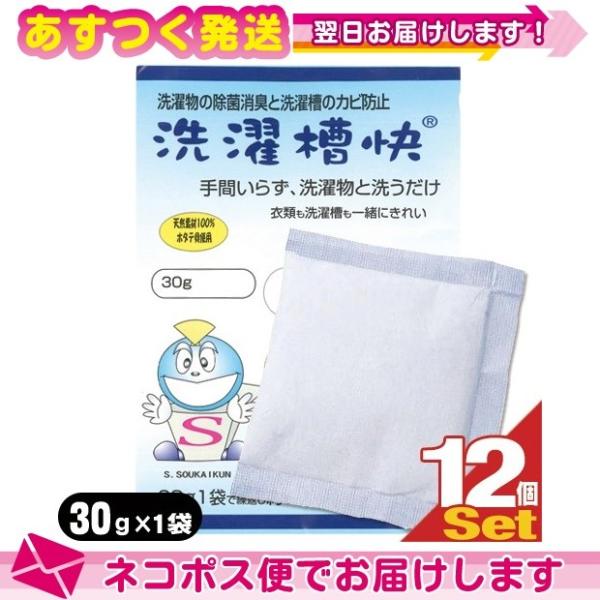 洗濯槽快 30g x12個 洗濯用洗浄補助用品 TAKENET テイクネット ：ネコポス送料無料