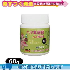 リニューアル!生菌数1.5倍UP※ ペット用食品 LCH ハタ乳酸菌 for PET 60g :cp4｜ippo0709