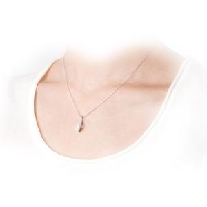 遺骨ペンダント Soul Jewelry アノ...の詳細画像1
