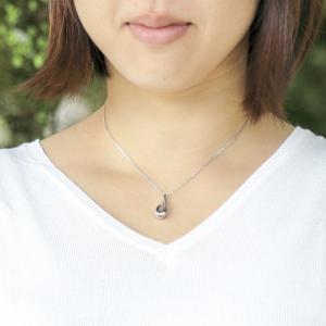 遺骨ペンダント Soul Jewelry メビ...の詳細画像1