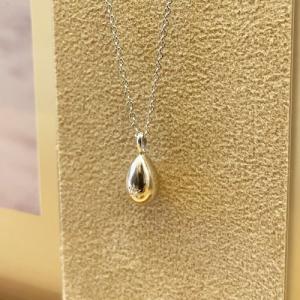 遺骨ペンダント Soul Jewelry プチ...の詳細画像3