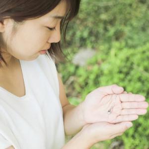 遺骨ペンダント Soul Jewelry パヴ...の詳細画像2