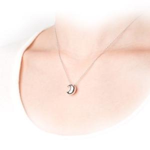 遺骨ペンダント Soul Jewelry クレ...の詳細画像1