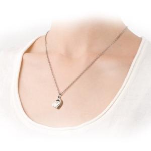 遺骨ペンダント Soul Jewelry チタ...の詳細画像1