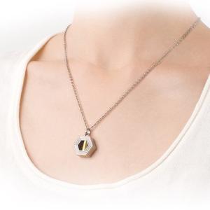 遺骨ペンダント Soul Jewelry チタ...の詳細画像1
