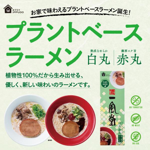 人気 博多 らーめん 一風堂 プラントベース ラーメン白丸・赤丸 2人前 SDGs おうちでIPPU...