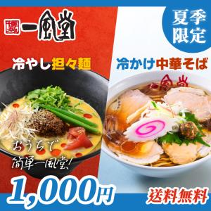 新発売 一風堂 冷やし担々麺 冷かけ中華そば ラーメン 博多 拉麺 細麺 人気 お取り寄せ 名店 ご当地 1000円 送料無料 商品券 ポイント利用 消化 [M便 1/2]爆買