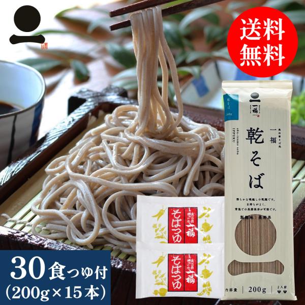 そば 乾麺 業務用 お徳用 15本(30人前) つゆ付 送料無料 お徳用 ご家庭用 乾そば 乾麺 保...