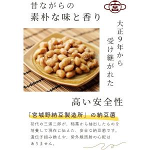 納豆菌 液 100ml 乾燥大豆50kg用(納...の詳細画像2