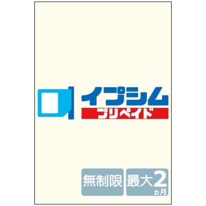 イプシム プリペイド 固定IPアドレスSIM 無制限タイプ 最大2ヵ月 (マルチカットSIM)