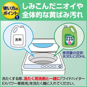 花王 ワイドハイター EXパワー【 液体タイプ...の詳細画像3