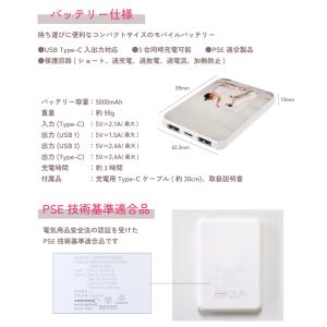 オリジナル モバイルバッテリー 5000mAh...の詳細画像5