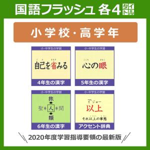 【小学国語】高学年セット (小4〜6) 4〜6年生の漢字 アクセント辞典 収録時間:19〜24分 (カード枚数:800〜900枚)／ 漢検対策 星みつる式 オンライン動画｜iqgakuen