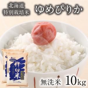 無洗米 10kg 5kg×2 ゆめぴりか 特別栽培米 (減農薬・減化学肥料) 北海道産 米 農家直送 特A｜irankarapte