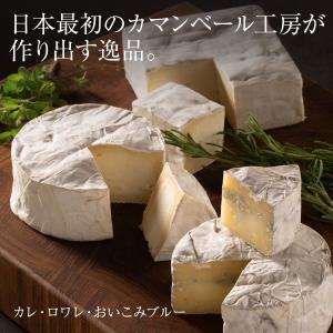 ギフト チーズ アソート 選べる生カマンベール...の詳細画像1