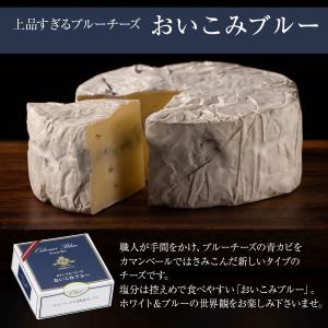 ギフト チーズ アソート 選べる生カマンベール...の詳細画像4