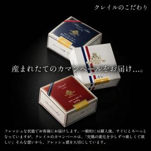 ギフト チーズ アソート 選べる生カマンベール...の詳細画像5