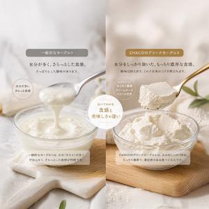 グリークヨーグルト 業務用 1kg 冷凍 無糖...の詳細画像2