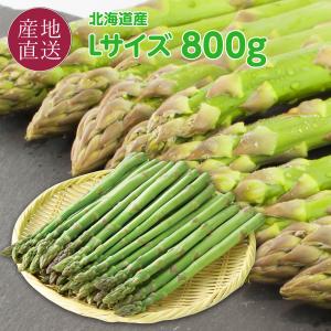 グリーンアスパラ 北海道産 極太 2Lサイズ 500g (アスパラガス本数の