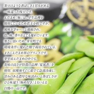 枝豆 冷凍 極 300g 北海道 十勝産 えだ...の詳細画像3