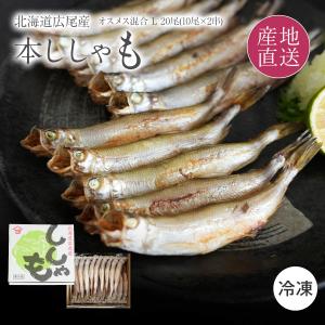 ししゃも 北海道 本ししゃも シシャモ 一夜干し 北海道産 Lサイズ オス メス 混合20尾(オス10尾、メス10尾) ひもの 柳葉魚 干物 魚 海鮮 爆買