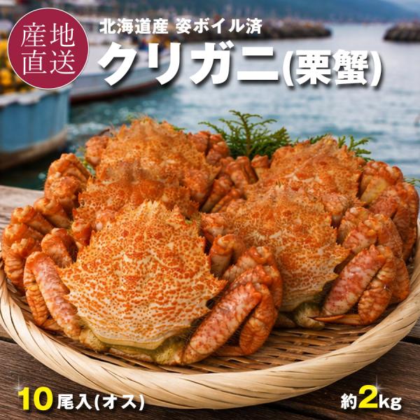 お中元 クリガニ 栗蟹 北海道産 姿 ボイル 冷凍 殻付き 10尾 計2kg 1尾約180g〜220...