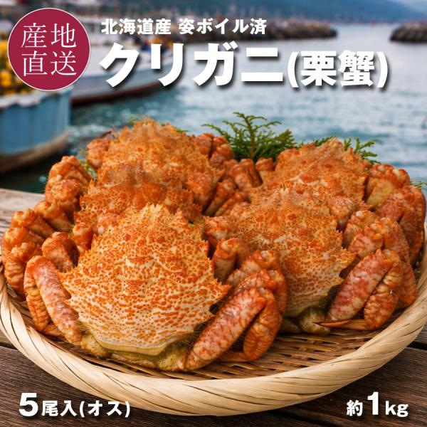 お中元 クリガニ 栗蟹 北海道産 姿 ボイル 冷凍 殻付き 5尾 計1kg 1尾約180g〜220g...