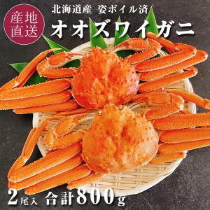 オオズワイガニ 北海道産 ボイル 姿 冷凍 オオズワイ ズワイ蟹 殻付き 2尾 計800g 海鮮 ズワイガニ バルダイ種 カニ｜北海道の美食逸品イランカラプテ