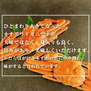 オオズワイガニ 北海道産 ズワイガニ ボイル ...の詳細画像3