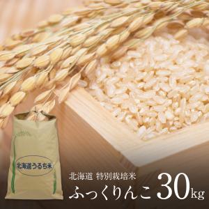 特別栽培米 (減農薬・減化学肥料) ふっくりんこ 玄米 30kg 新米 令和5年産 北海道産 お米 農家直送｜irankarapte