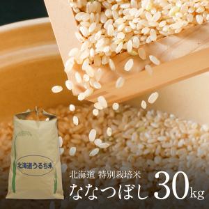 玄米 30kg ななつぼし 特別栽培米 (減農薬・減化学肥料) 新米 令和5年産 北海道産 お米 農家直送 特A 2023年産｜irankarapte