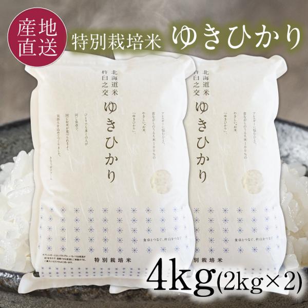 ゆきひかり 白米 4kg 特別栽培米 (減農薬・減化学肥料) 農家直送 新米 令和5年産 北海道産米