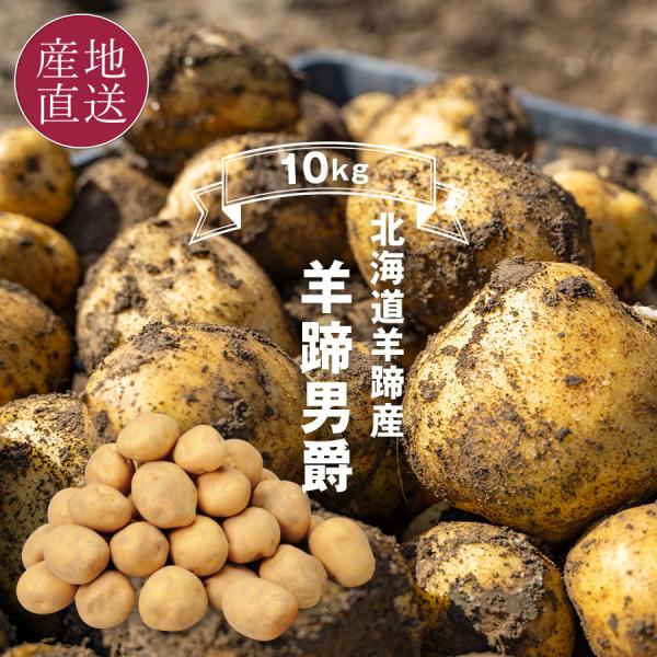 北海道 羊蹄産 男爵いも 10kg じゃがいも 北海道 男爵いも Lサイズ 新じゃがいも 新じゃが ...