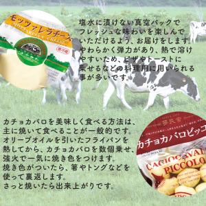チーズ ギフト 北海道 はやきたチーズ 5種 ...の詳細画像3