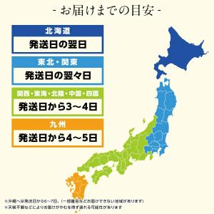 お中元 西山製麺 札幌西山ラーメン 5食 セッ...の詳細画像5