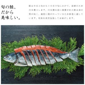 お歳暮 新巻鮭 1本 姿 北海道産 1.5kg...の詳細画像2