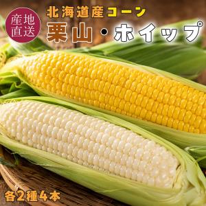 玄米 30kg ゆめぴりか 新米 農家直送 米-1グランプリ 金賞受賞米
