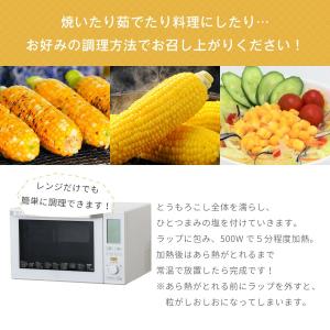 北海道 栗山コーン ホイップコーン 2種8本 ...の詳細画像5