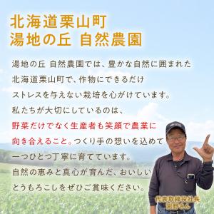 北海道 栗山コーン ホイップコーン 2種8本 ...の詳細画像2