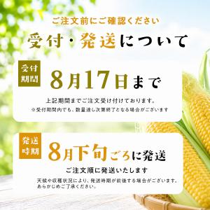 北海道 栗山コーン ホイップコーン 2種8本 ...の詳細画像1