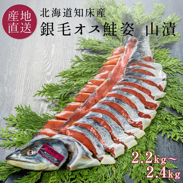 お歳暮 新巻鮭 1本 山漬け 鮭 銀毛鮭 オス 姿 北海道産 知床産 2.2kg~2.4kg 切り身...