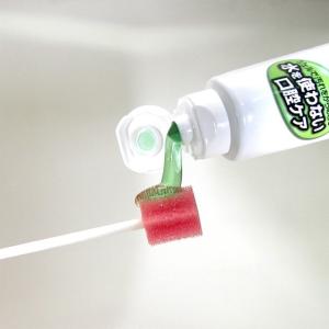 日本歯科薬品 お口を洗うジェル 25g 少量タイプ お水を使わない口腔ケア