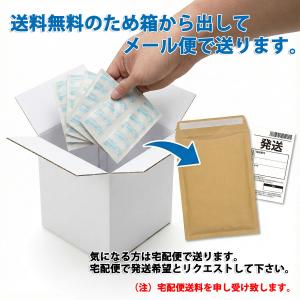 入れ歯洗浄剤 スマイルデントPLUS 120錠...の詳細画像4